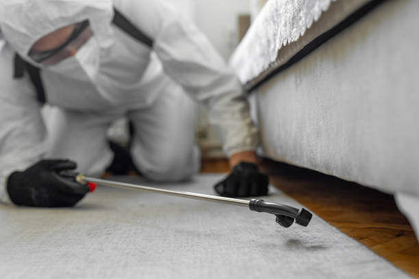 Professional Bed Bug Control technician working in Bowmansville, PA