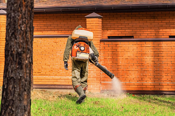 Trusted Termite Control service in Bowmansville, PA - Nex Pest Control
